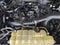 2019 Ford F-150 XL 2WD SuperCrew 5.5' Box