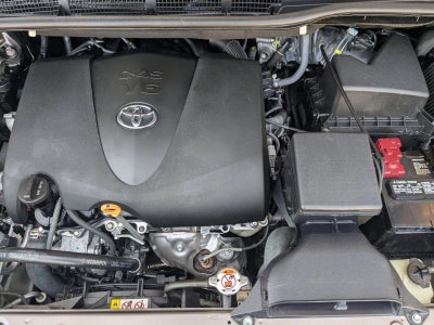 2019 Toyota Sienna XLE FWD 8-Passenger (Natl)