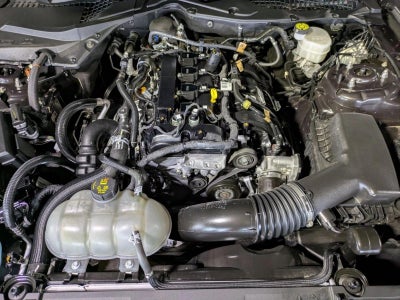 2022 Ford Mustang EcoBoost Fastback