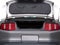 2010 Ford Mustang 2dr Cpe V6