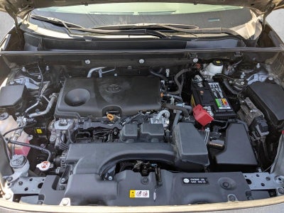 2023 Toyota RAV4 XLE Premium AWD (Natl)