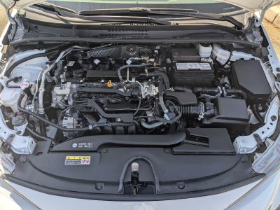 2024 Toyota Corolla LE CVT (Natl)