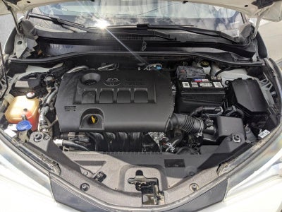 2018 Toyota C-HR XLE FWD (Natl)