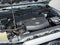 2013 Toyota Tacoma 4WD Double Cab Short Bed V6 Automatic (Natl)