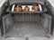 2023 BMW X3 sDrive30i Sports Activity Vehicle