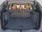 2023 BMW X3 sDrive30i Sports Activity Vehicle